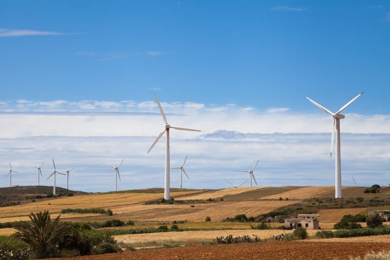 Wind turbines in Africa supporting renewable energy and climate change mitigation efforts.