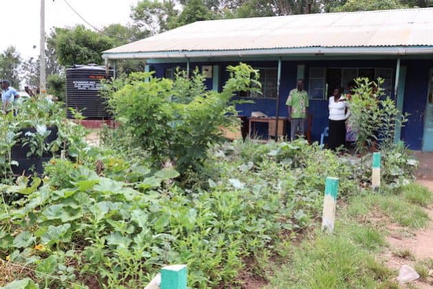 Why Agroecology Should Be Considered As Key For Climate Negotiations