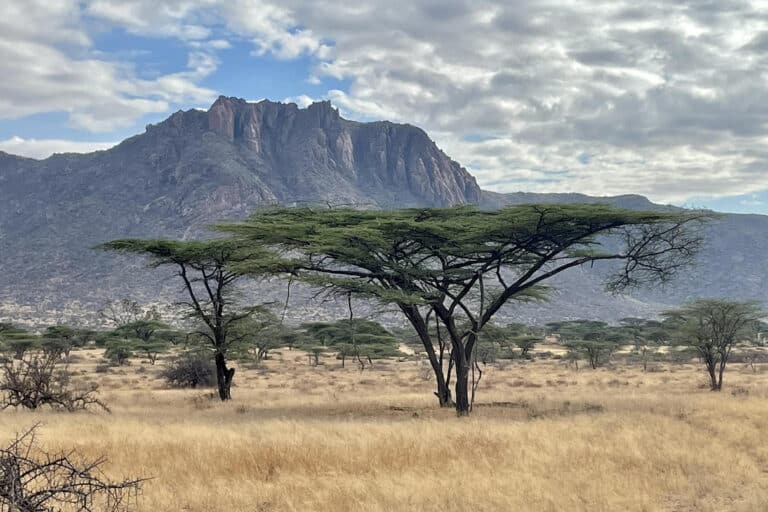 Kenyan Pastoralists