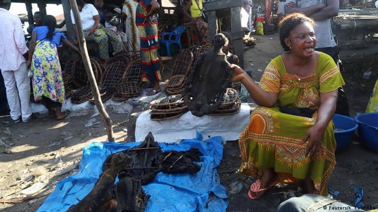 Suitcase Smugglers Feeding Europe’s Hunger for Bushmeat