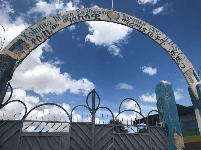 Ethiopia Releases Ex-Politician Implicated in Heinous Crimes