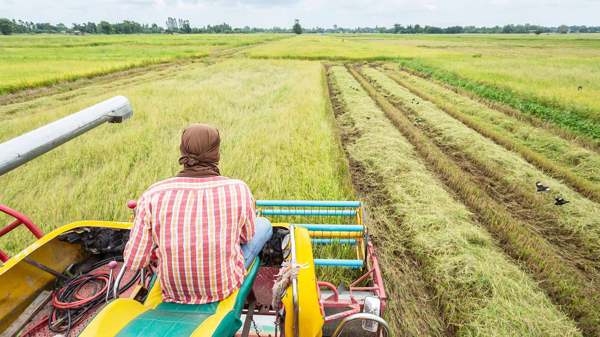 Farm machinery working in a lush green field in Africa.