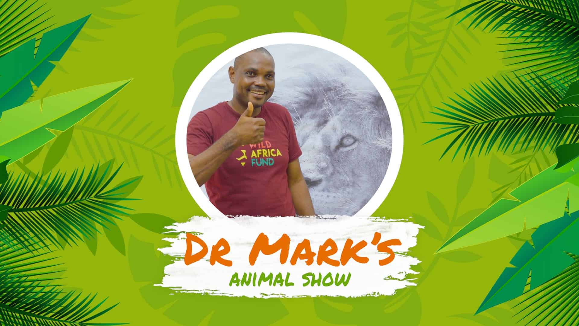 Child engaging with wildlife at Africa animal show, promoting conservation awareness.