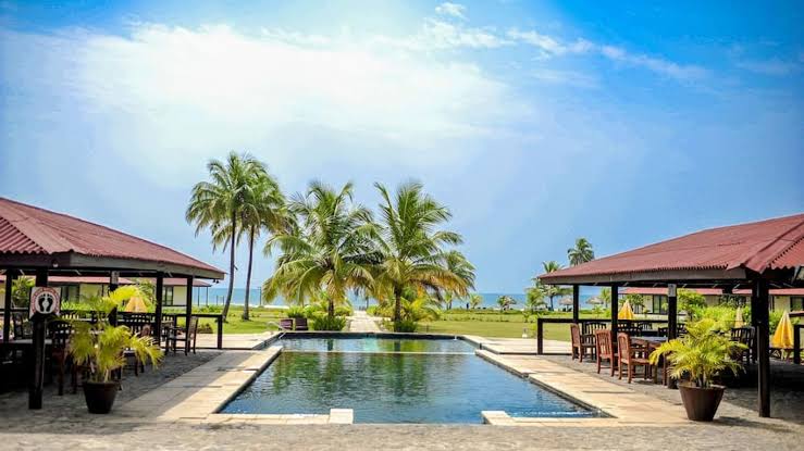 Scenic view of tropical resort with pool and palm trees in Cape Town Winelands.