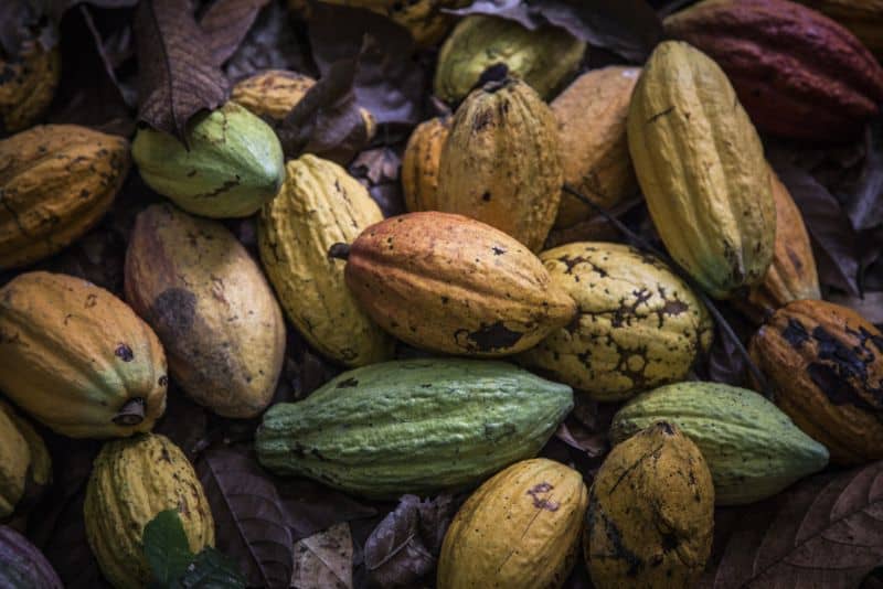 Cocoa Futures Fell Six Times in a Row this Week 