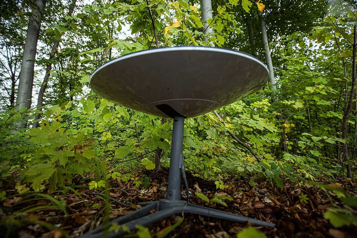 Image shows a metal birdbath in a lush green forest setting.
