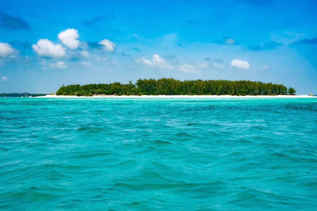 Beautiful tropical island in Tanzania with clear turquoise waters and lush greenery.