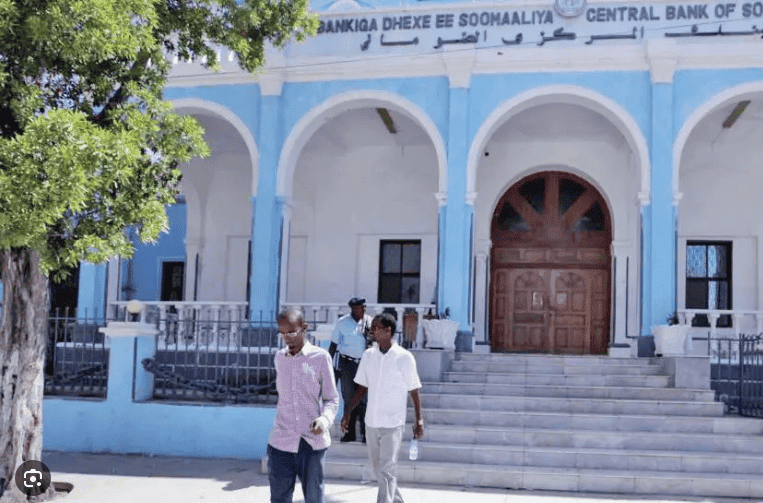 Op-Ed: The Digital Banking Revolution in Africa – Somalia’s Transformative Journey 