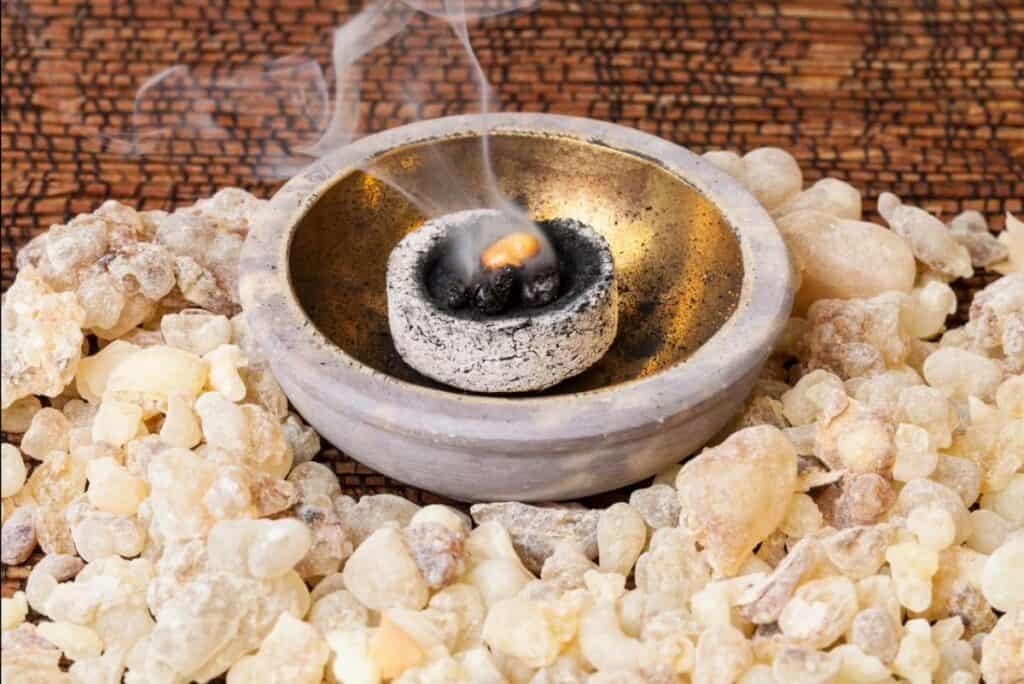 The West’s Wellness Industry Threatens Ethiopia’s Frankincense Forests