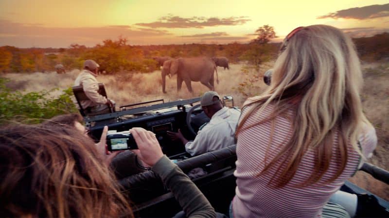 Tips to Help You Capture your Next Safari