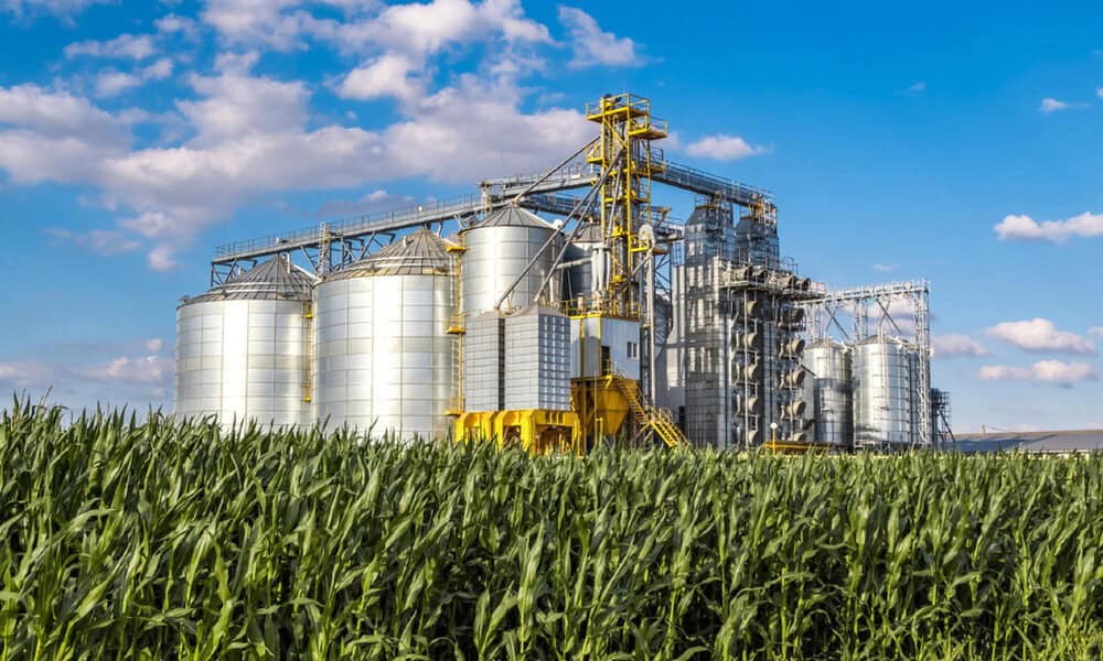 Boosting The Staples Processing Sector: A Critical Crossroad For Improved Diets And Transformation Of The Rural Space In Africa