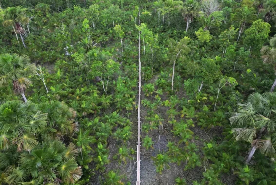 Aerial view of a deforested area with remaining trees in Africa.