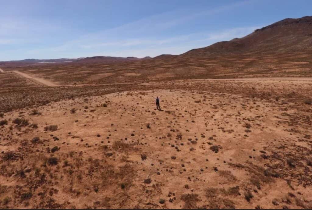 South African Researchers Discover World’s Oldest Termite Mound