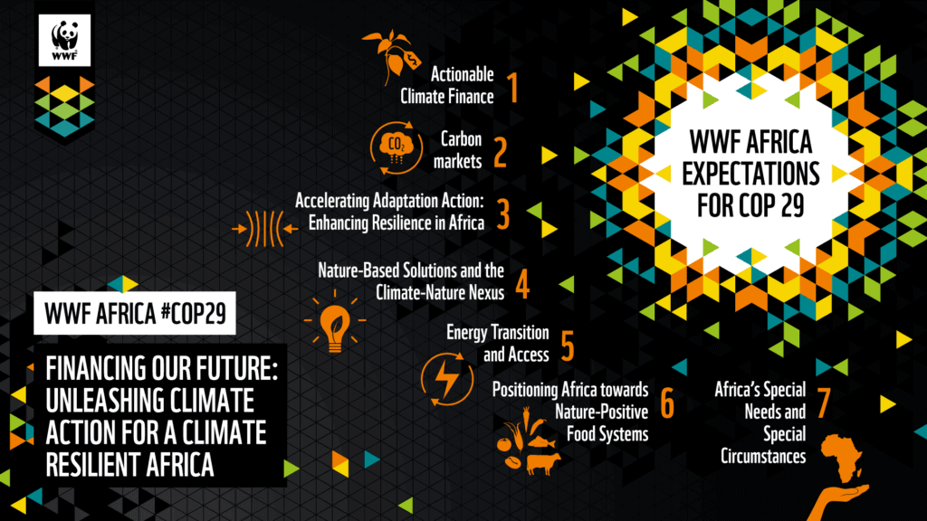 WWF Africa Calls For Climate Finance And Nature-Based Solutions At COP29