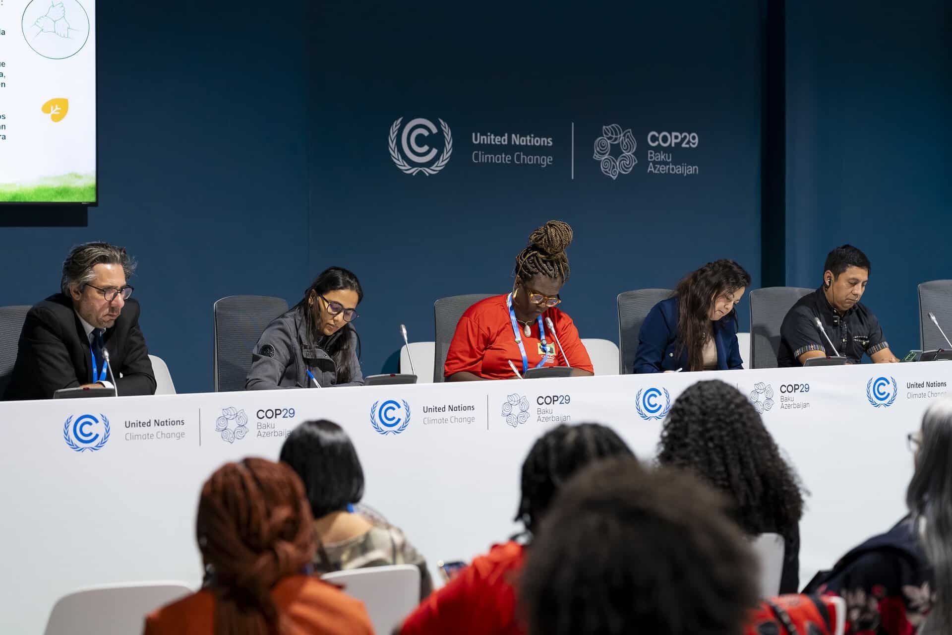 Panel of diverse experts at COP29 climate summit discussing climate action.