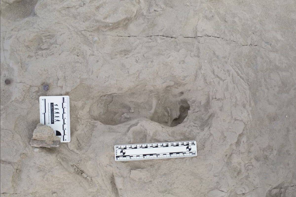 Ancient human footprints preserved in Kenyan soil, revealing early human relatives' coexistence 1.5.