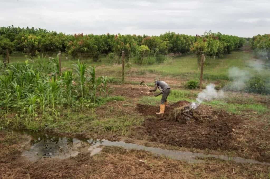 Angola’s Sun and Soil are the Keys to its Future Prosperity