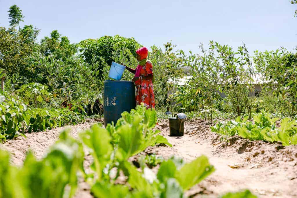 Farmers in Tanzania practicing agroforestry as part of Trees for the Future training program.