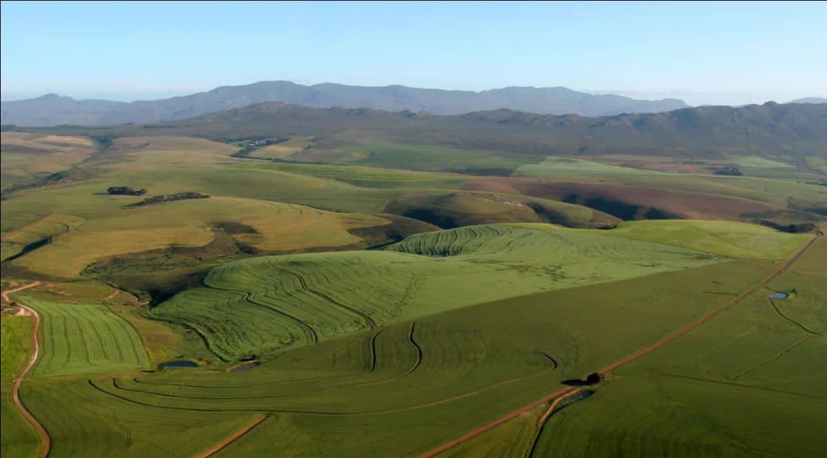 Panoramic view of lush green fields in Africa, highlighting agricultural development and rural lands.