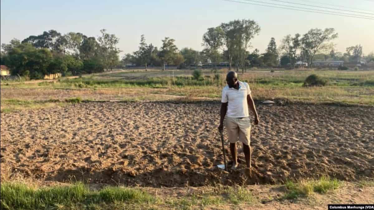 Man working in a dry, barren field in Africa, with trees and a distant road in the background.