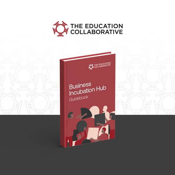 Business incubation hub guidebook for entrepreneurship in higher education.