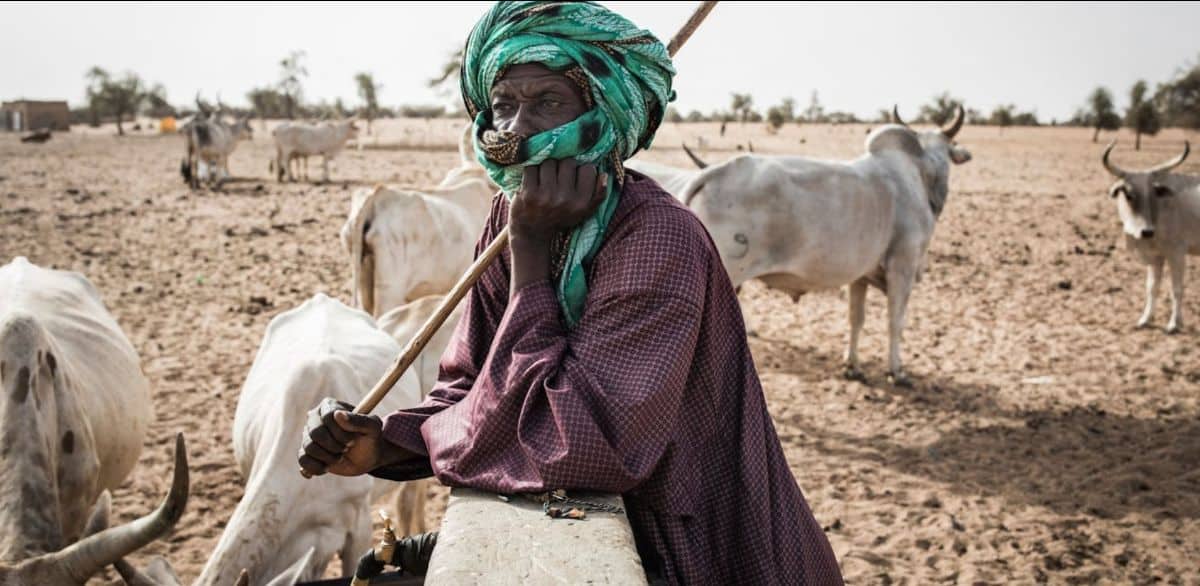 New Research Traces the Ancient Roots of the Fulani People