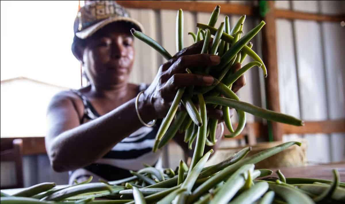 UN Urges Trump to Spare Poorest Nations from Tariffs