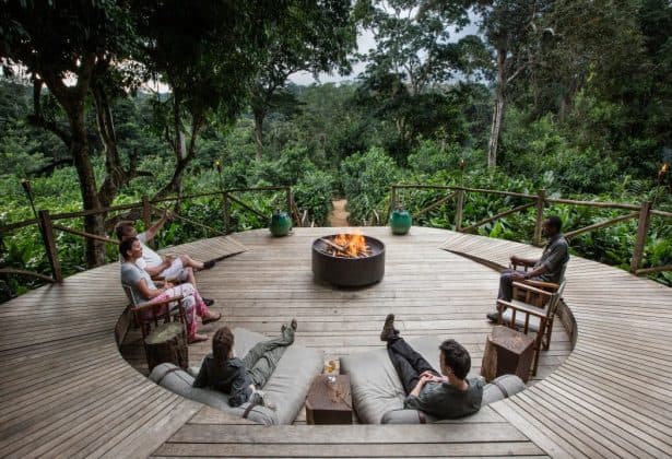 Rainforest Lodges in Congo Offer Immersive Conservation Experiences