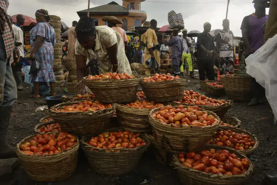 Rising Food Prices Deepen Nigeria’s Poverty Crisis