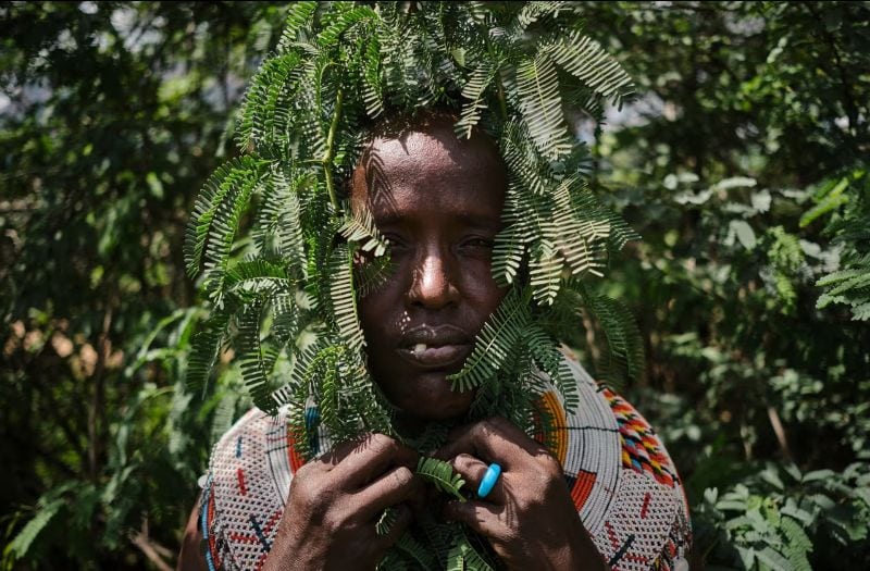 Kenya’s Green Invasion: How a Tree Turned into a National Menace