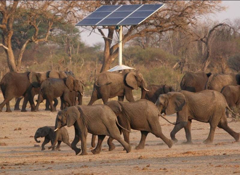 China’s Retreat Reshapes Africa’s Energy Investment Scene