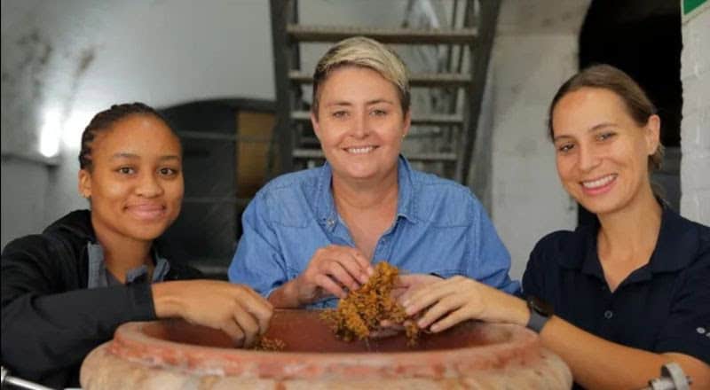 South African Wine Queens: Stellenbosch Trio Wins World’s Best Cabernet