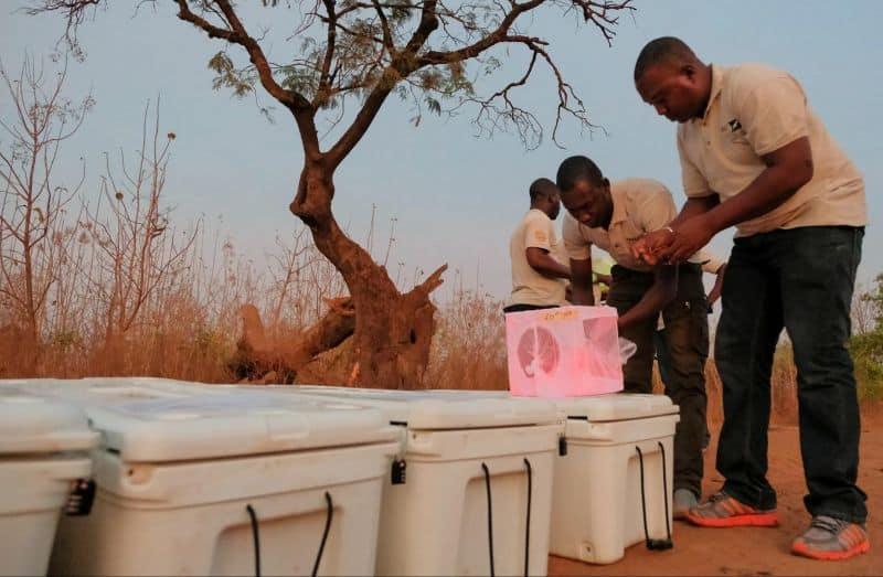 Gene Drive vs. Malaria: Africa’s High-Tech Fight for Survival