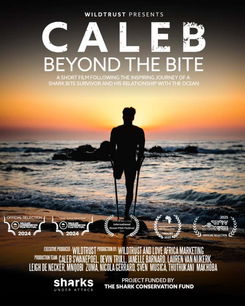 South African Short Film ‘Caleb: Beyond The Bite’ Wins Gold At International Tourism Film Festival Africa