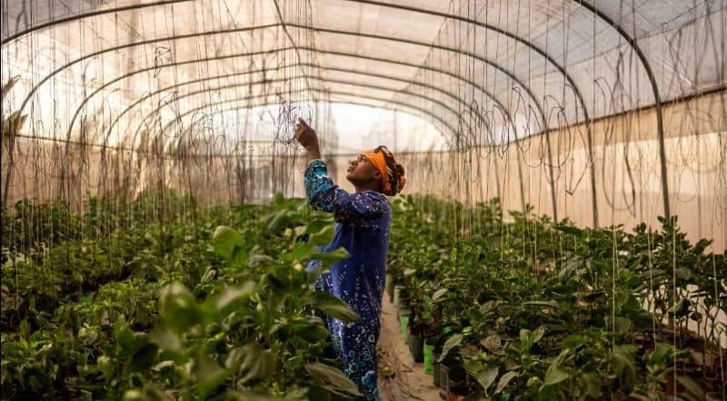 Nigeria’s Economy Surges 30% Following GDP Recalculation