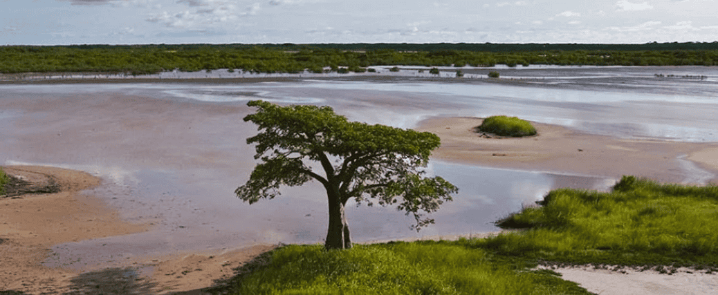 Strengthening Climate Governance in West Africa: Inclusive Solutions from Burkina Faso, Côte d’Ivoire, and Senegal