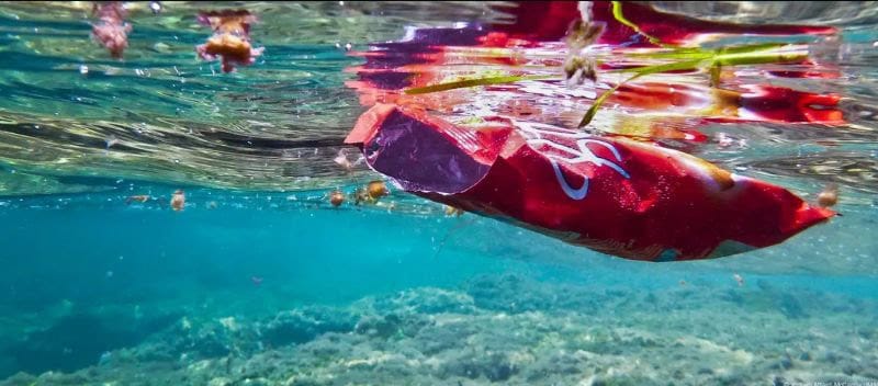 Polluted water with plastic debris in South Africa's coastal waters.