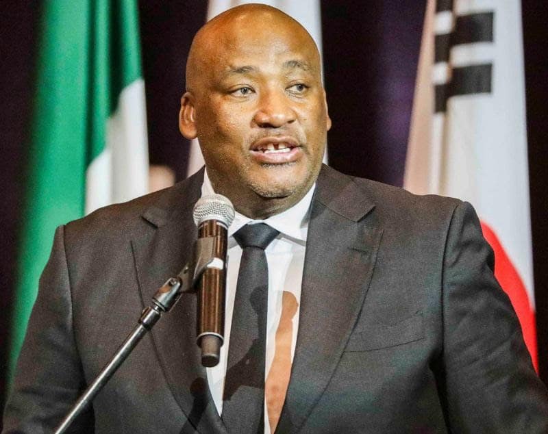 SA Minister Probed for Racial Slurs as Apartheid Tensions Resurface