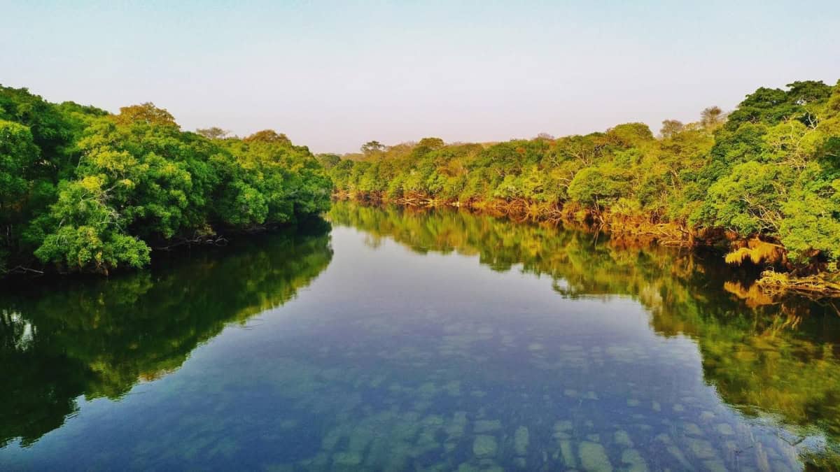 Lolelunga Private Reserve offers a pristine Zambian safari experience with lush greenery and calm wa.