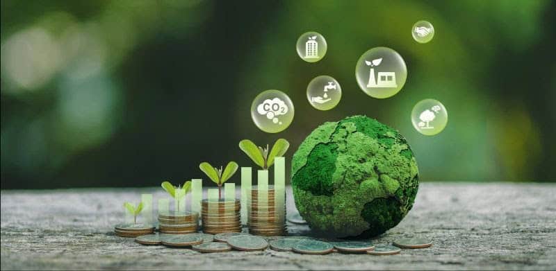 How South Africa’s Investors Are Balancing Profit and Planet