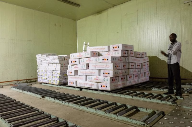 How the UAE became Uganda’s biggest trade partner