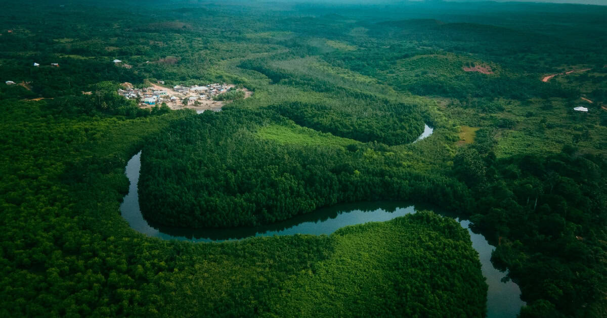 Aerial view of a river meandering through dense tropical forest in Africa.