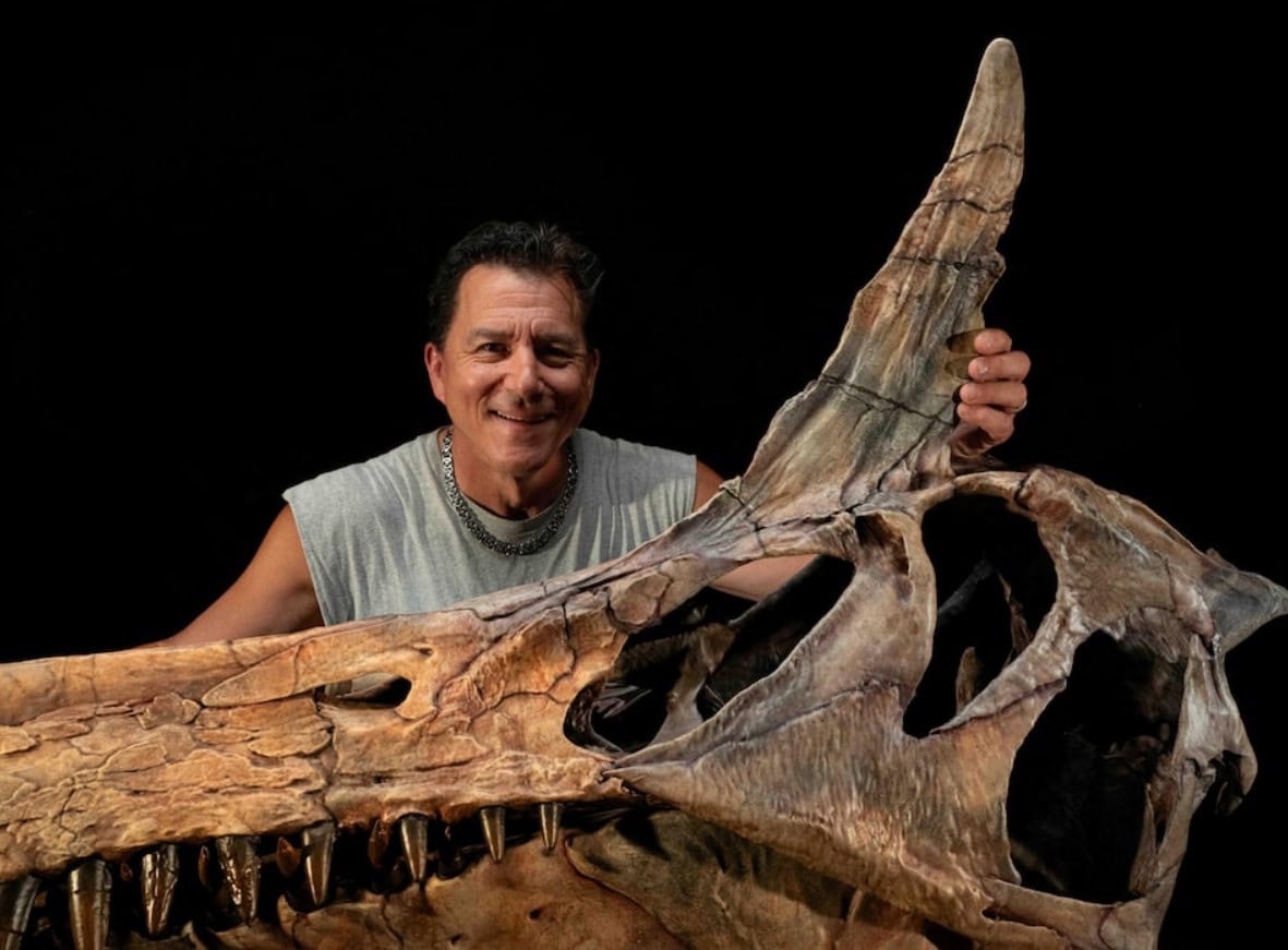 Sahara expedition unearths dinosaur treasure