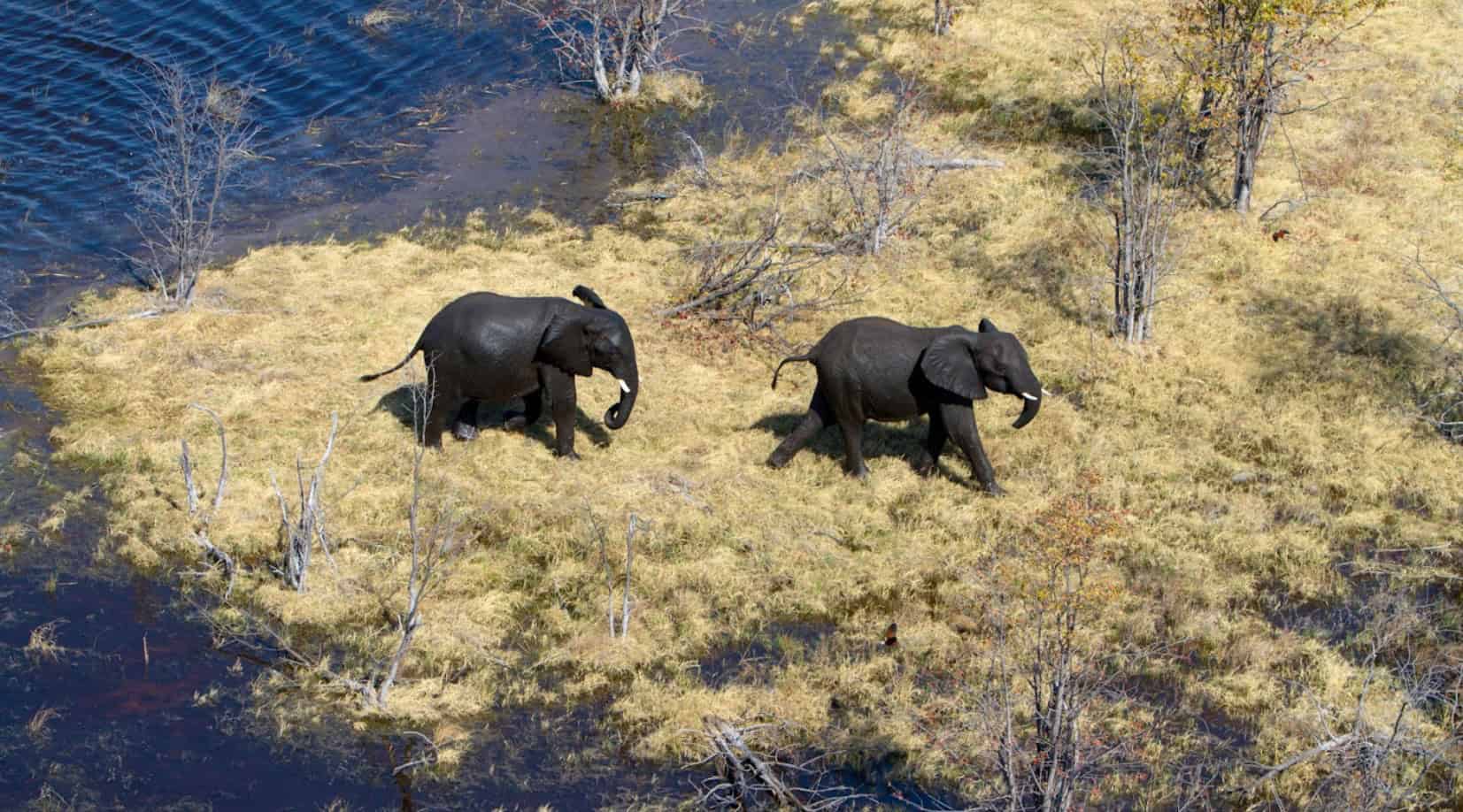 The best ways to explore Botswana’s Okavango Delta