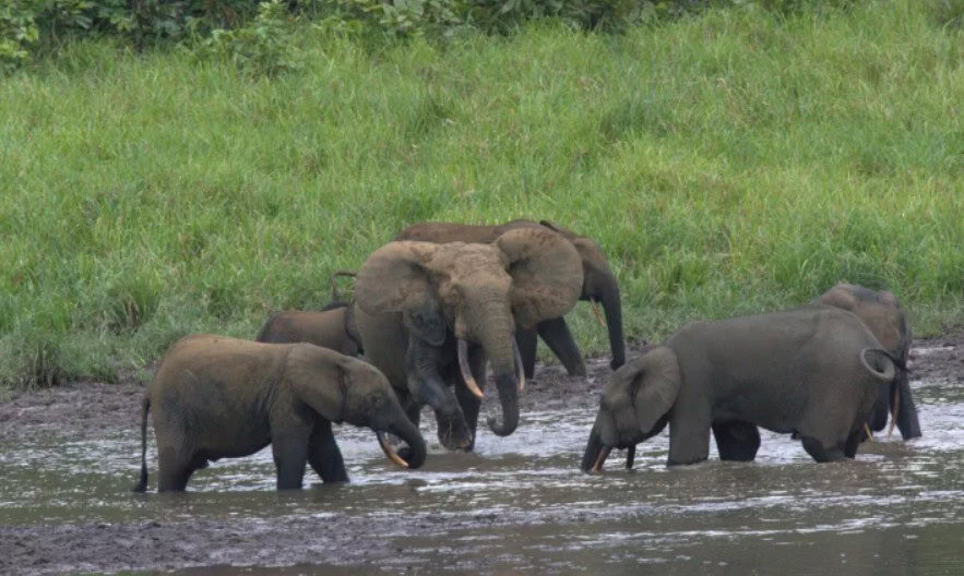 Five African escapes for true adventurers