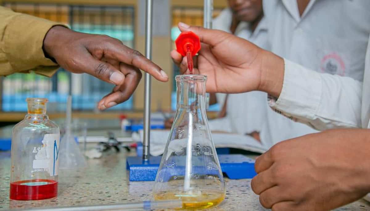 Innovative STEM education fostering real-world engineering skills.