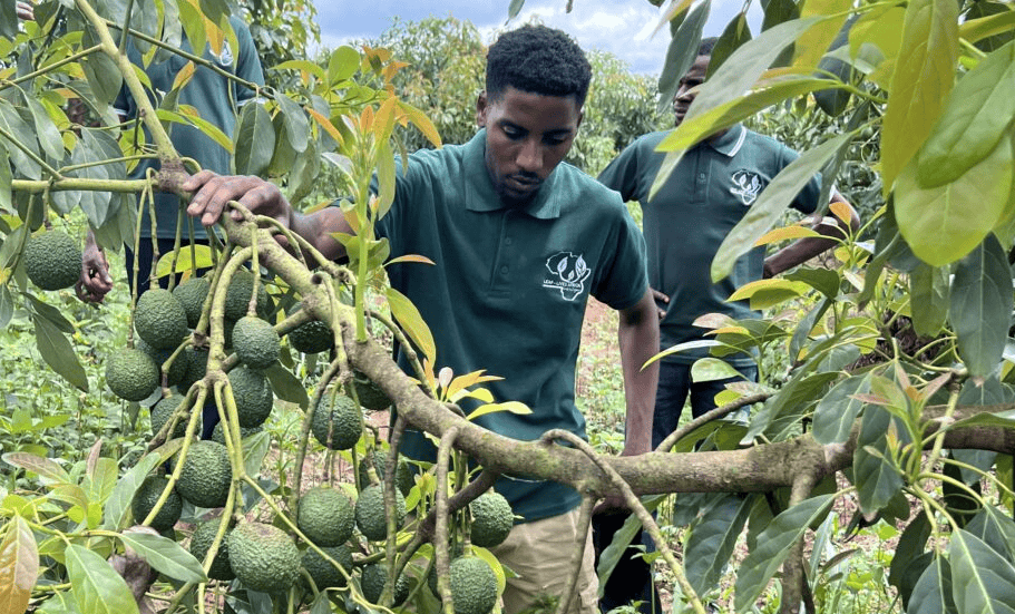 Isaac Mwebazemukama Transforms Sustainability and Youth Empowerment in Uganda