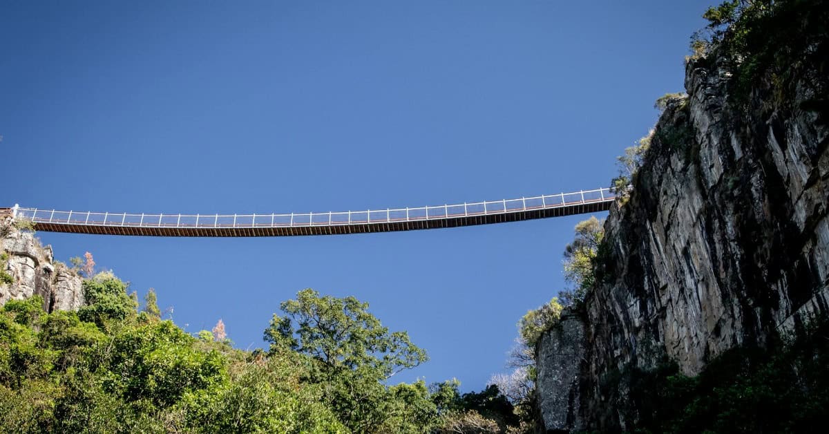 Suspension bridge spanning a deep gorge in Africa, surrounded by lush greenery and rocky cliffs unde.