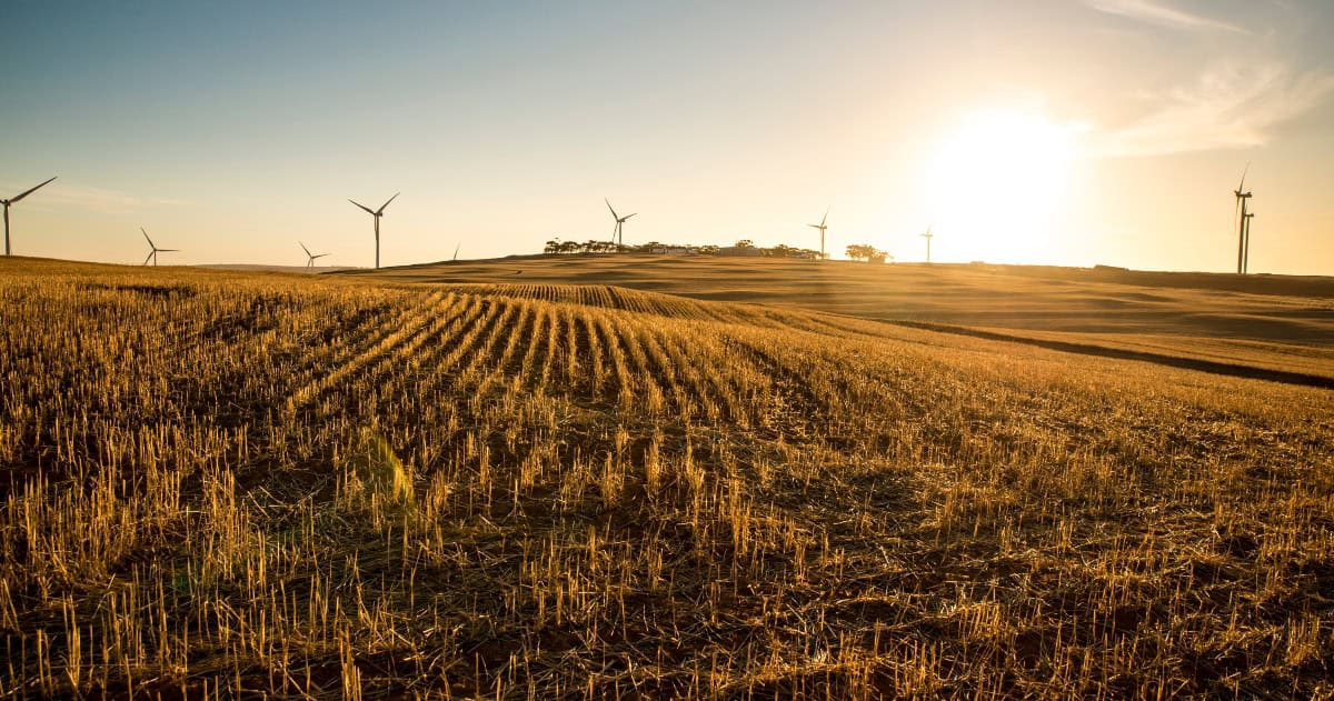 Wind turbines in a South African field at sunset, symbolizing renewable energy progress.