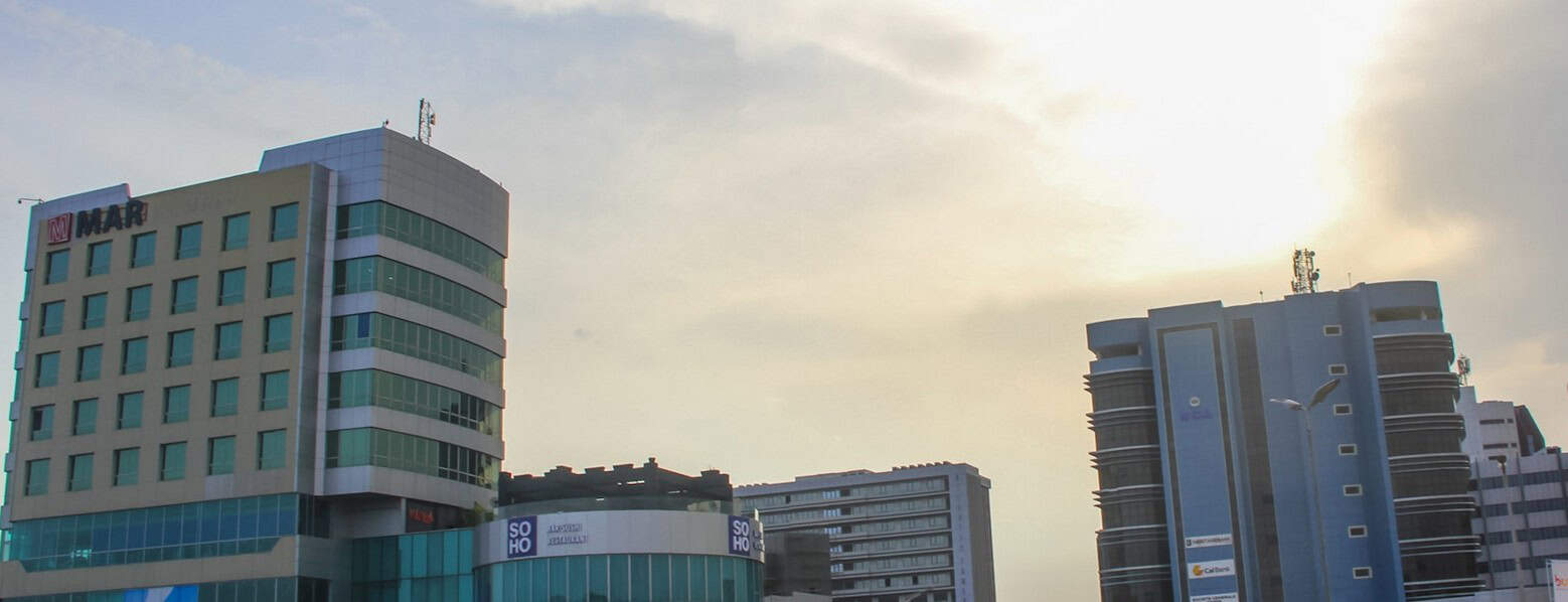 Why Ghana must treat trees as essential infrastructure